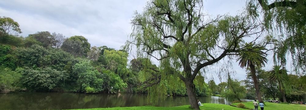 Coburg Lake Reserve Summer 2023