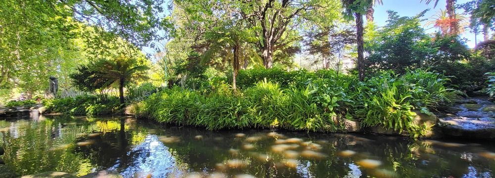 Captivating Bliss of Queen Victoria Park