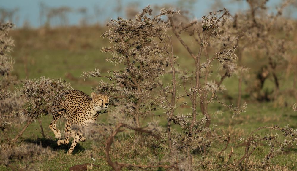 Photograph by Vivasvat Chauhan