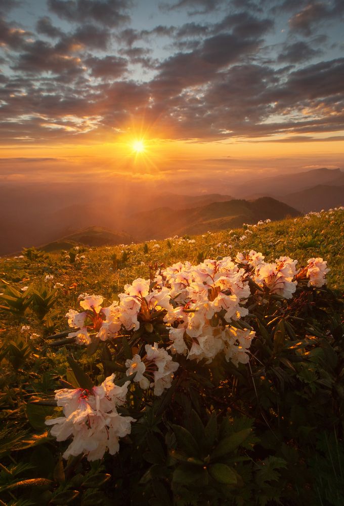 Фотография автора AGIL