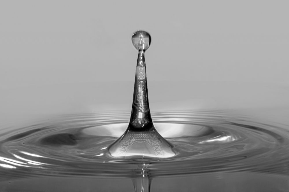 Фотография автора NeCoTi ChonTin