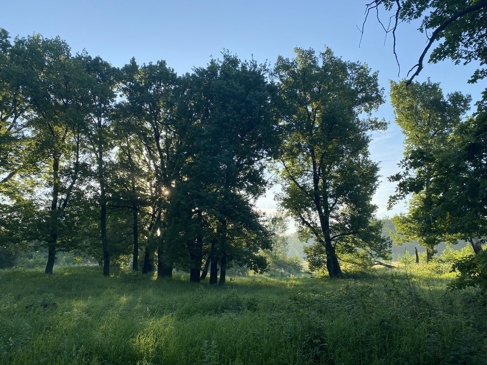 Photograph by Дмитрий Мостовой
