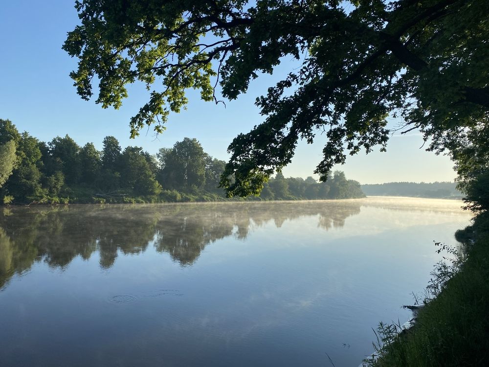 Photograph by Дмитрий Мостовой