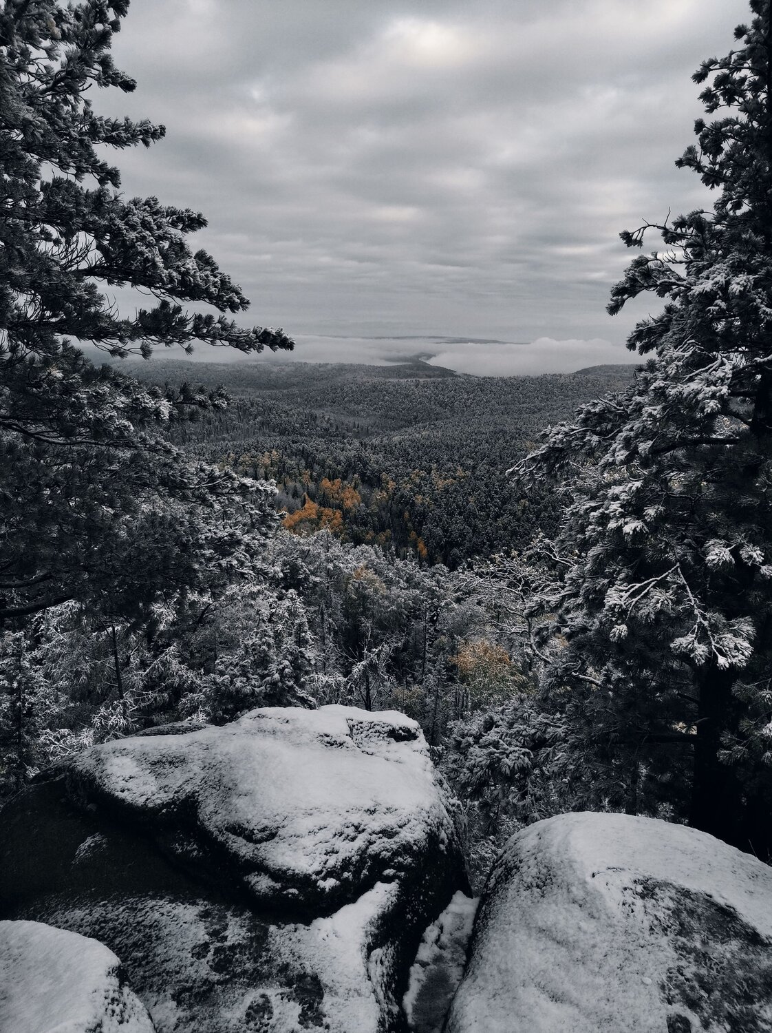 Photo #8786639