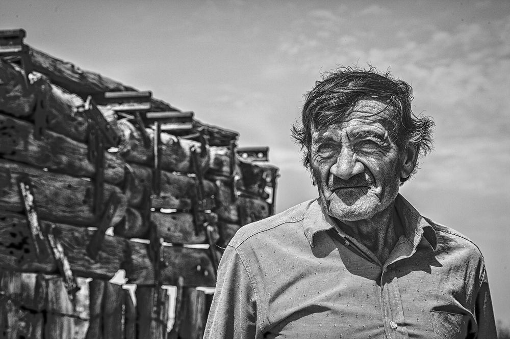 Фотография автора Marina