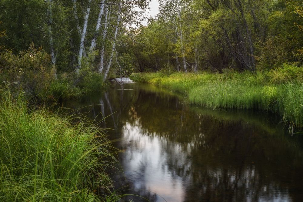Photograph by Владимир Климов