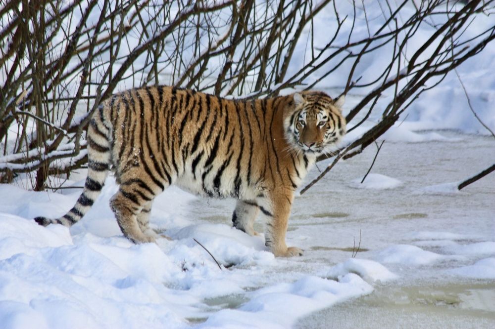 Photograph by Елена Смирнова