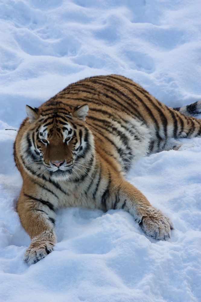 Photograph by Елена Смирнова