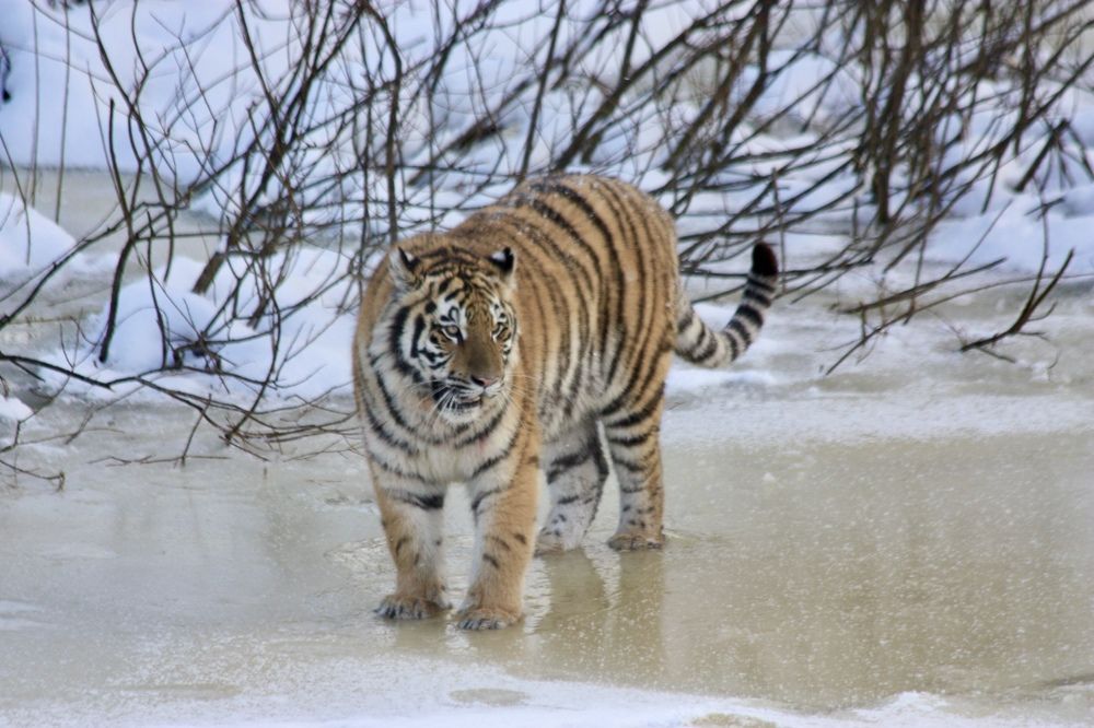 Photograph by Елена Смирнова