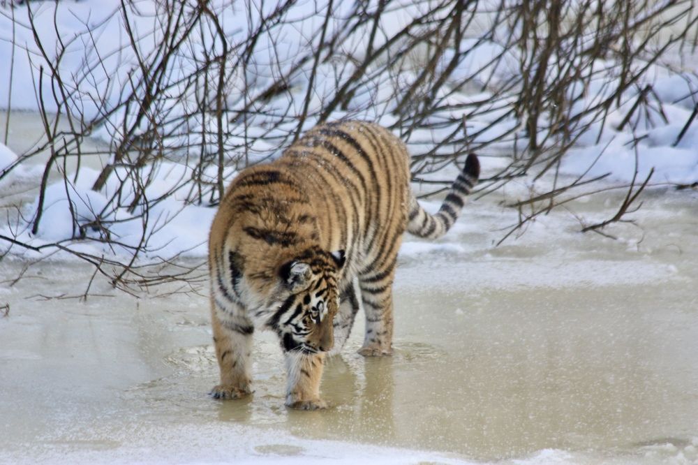 Photograph by Елена Смирнова