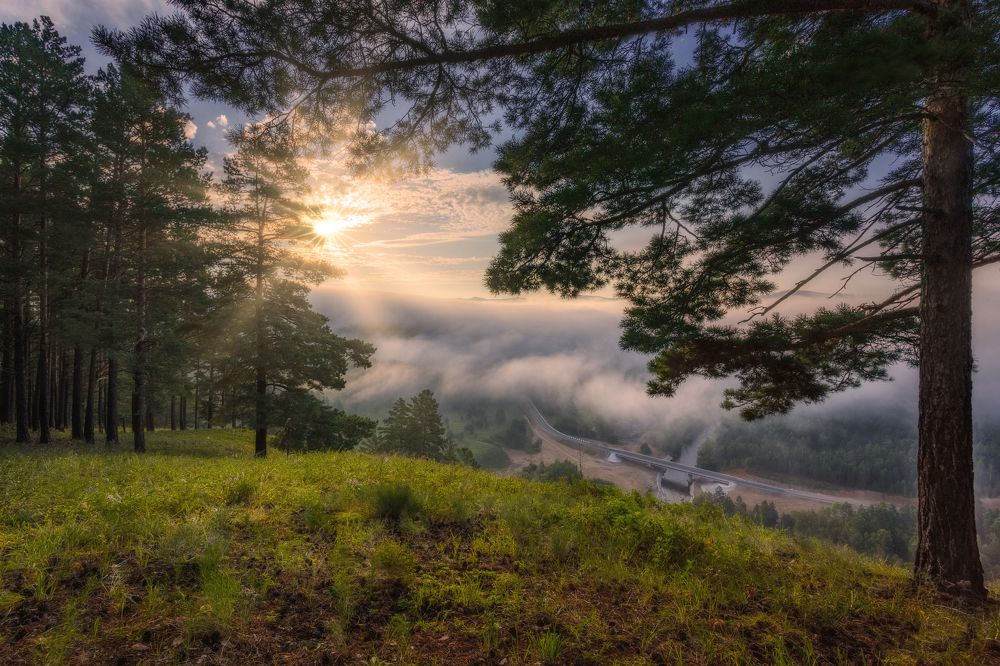 Photograph by Владимир Климов