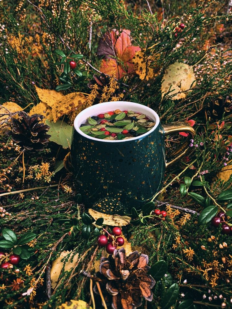 Photograph by Мария Василенко