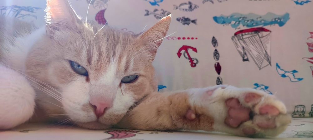 Photograph by Евгений Захаров