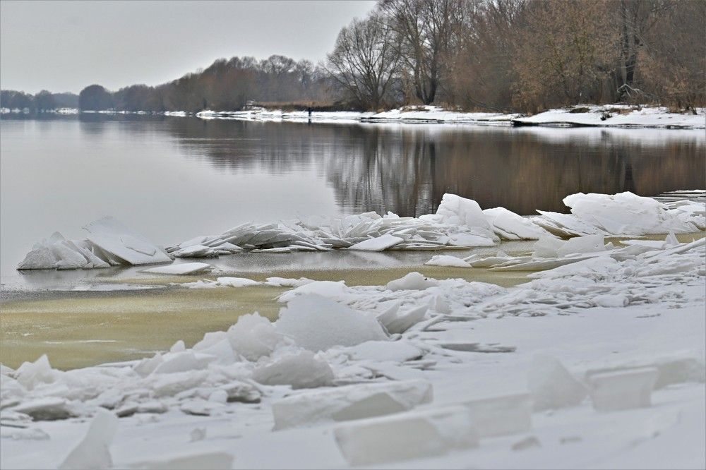 Фотография автора IRINA FILIPPOVA