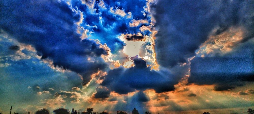 Photo #8786893