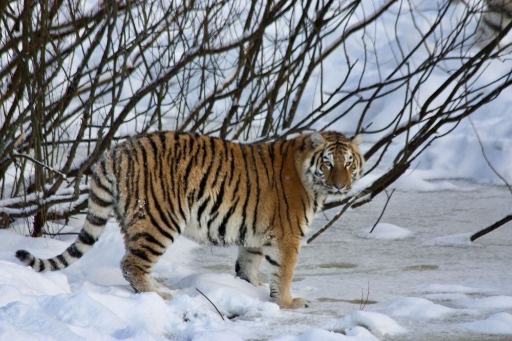 Photograph by Елена Смирнова