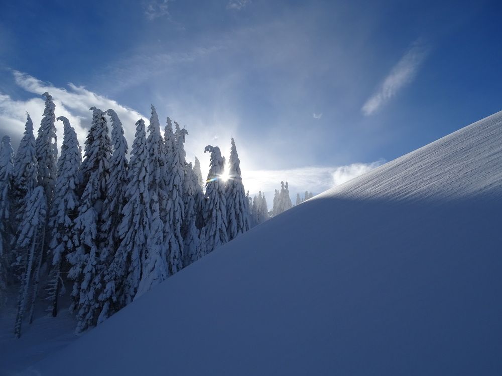 Photograph by George Serbu