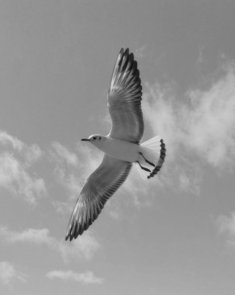 Photograph by Hossein Sadeghi