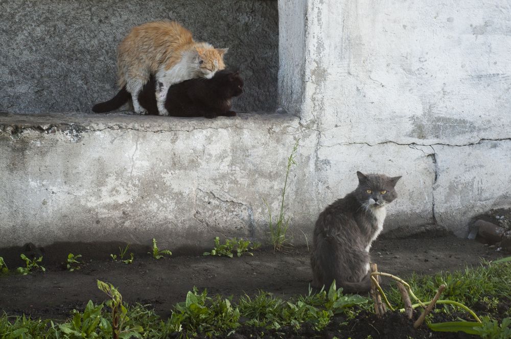 Photograph by Михаил Нуждов