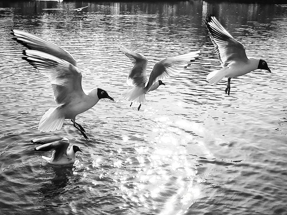 Photograph by Оксана Борисевич