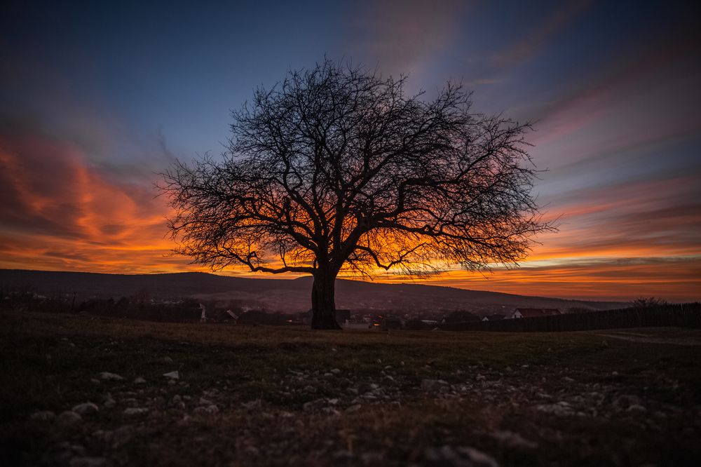 Photograph by Филипп Бабенко