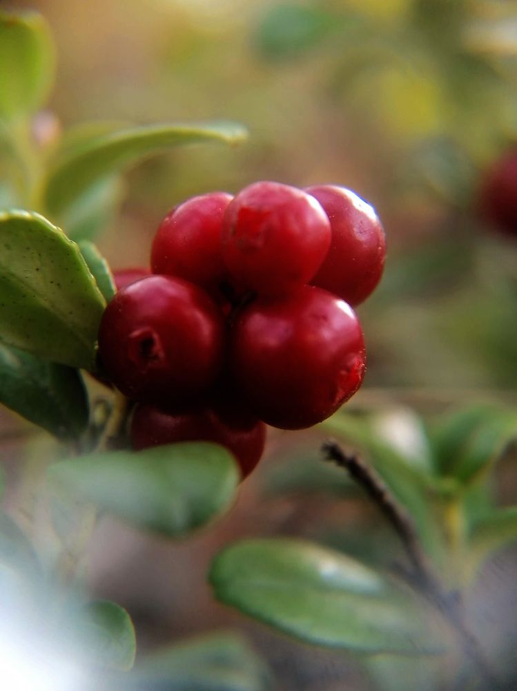 Photograph by Тамара