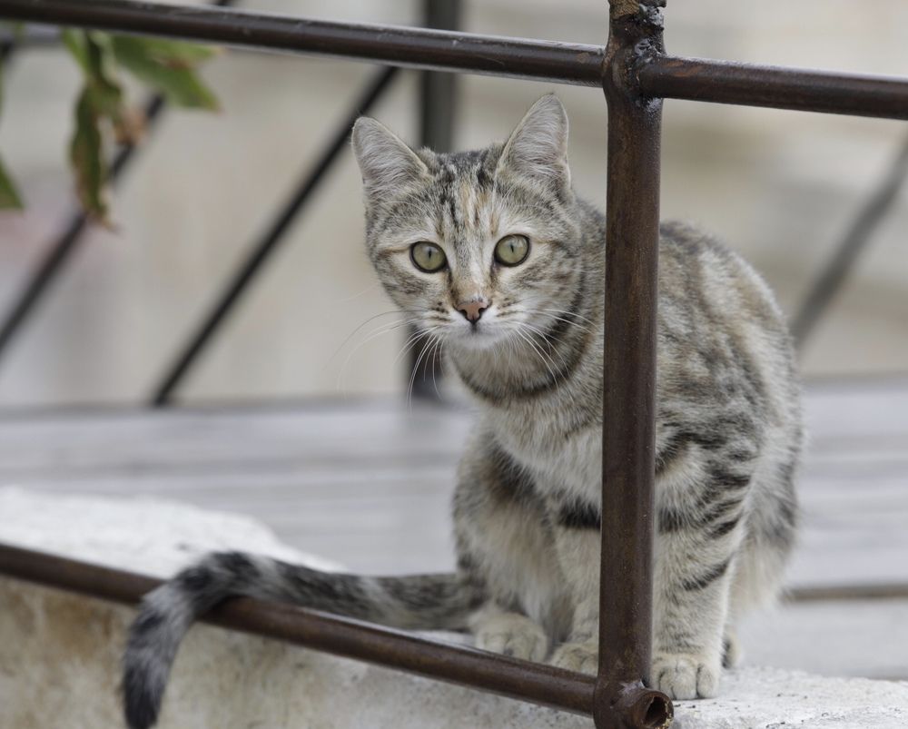 Photograph by Ольга Одаренко