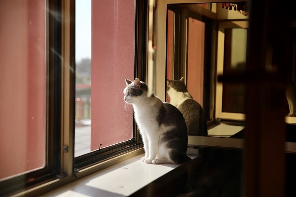 Photograph by Ольга Одаренко