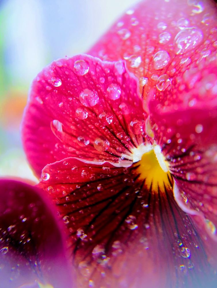 Photograph by Тамара