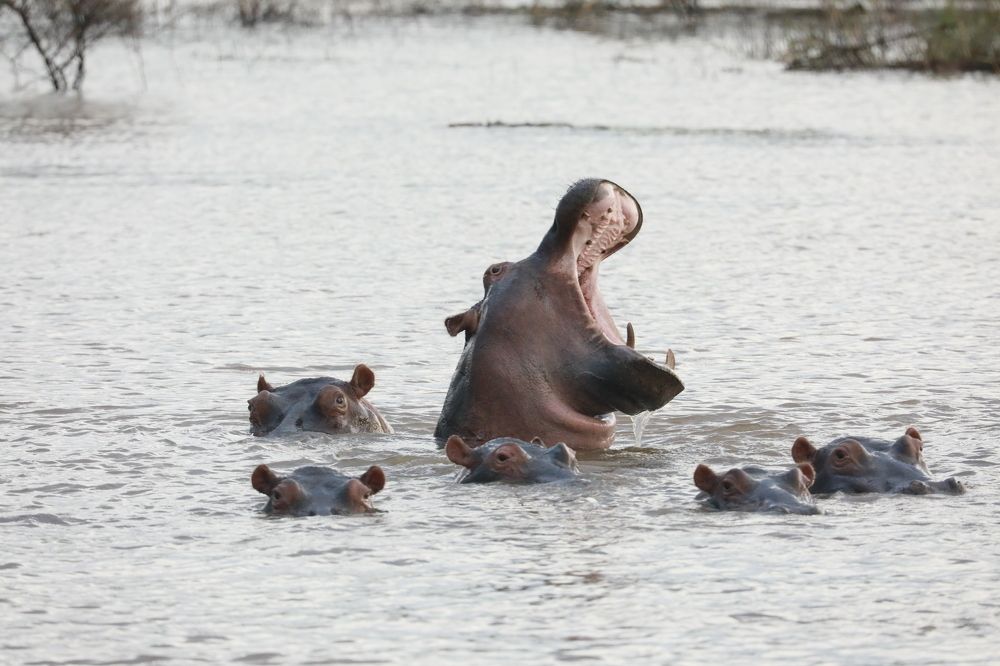 Photograph by ELVIRA LUNEVA