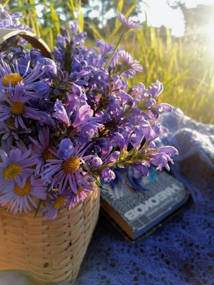 Photograph by Тамара