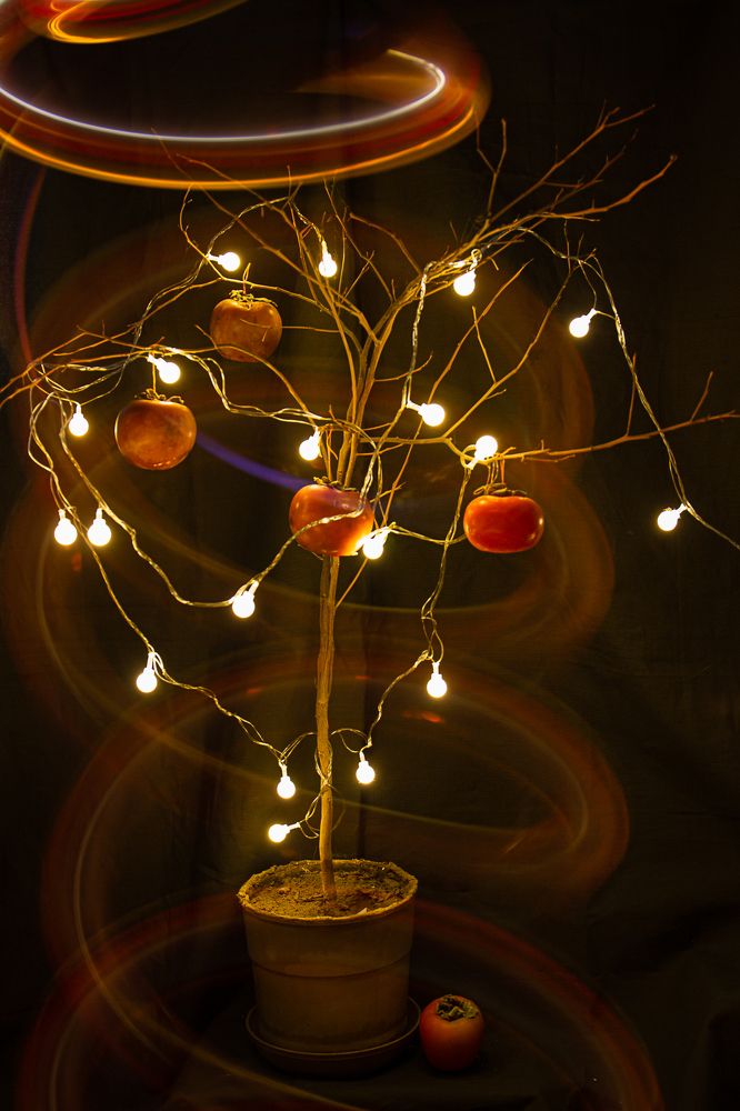 Photograph by Екатерина Першина