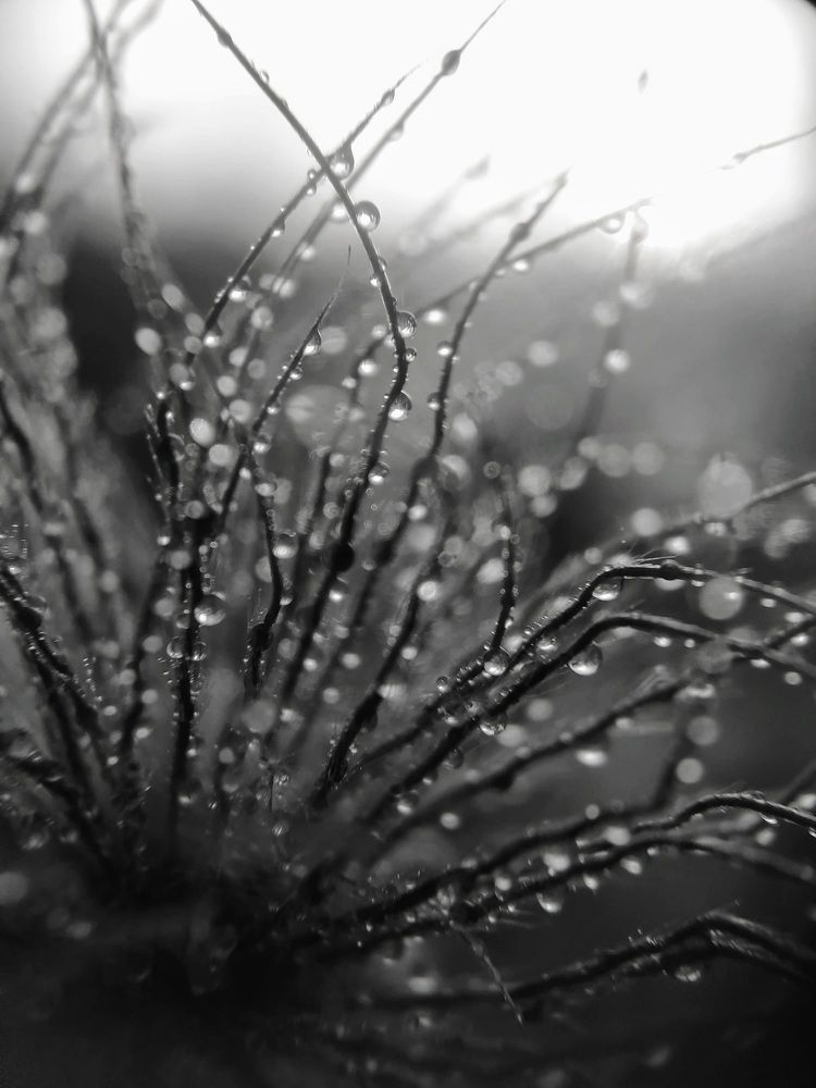 Photograph by Тамара