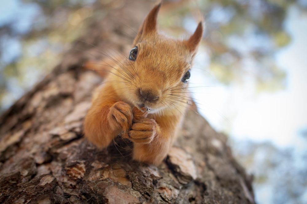 Photograph by Сергей Захаров