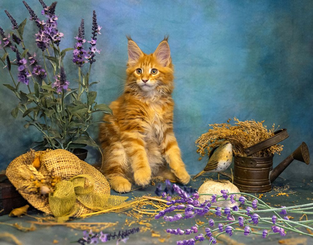 Photograph by Надежда