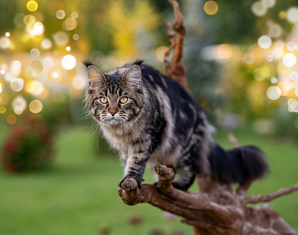 Photograph by Надежда