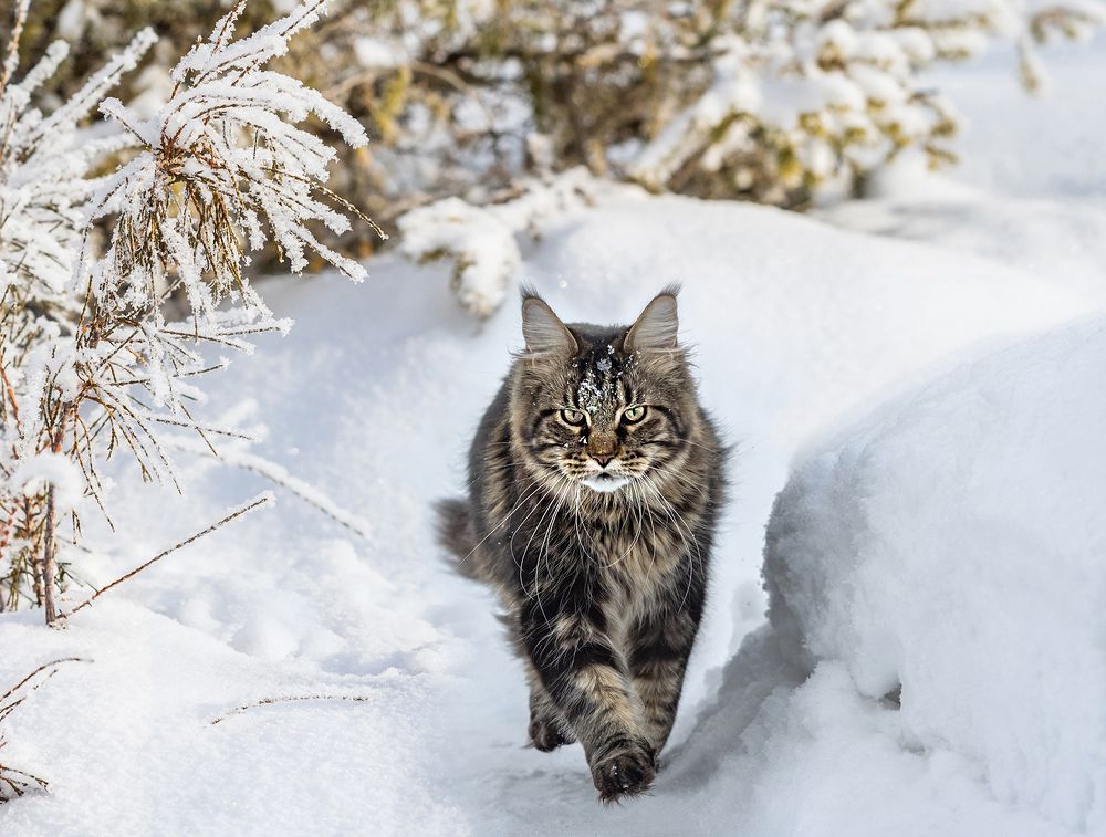 Photograph by Надежда