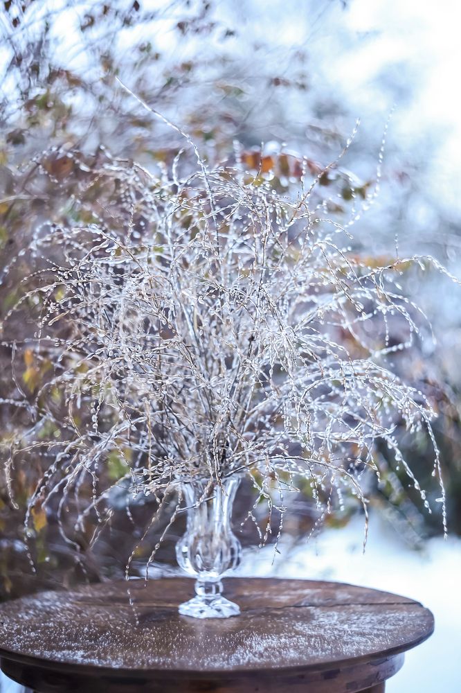 Ледяной букет