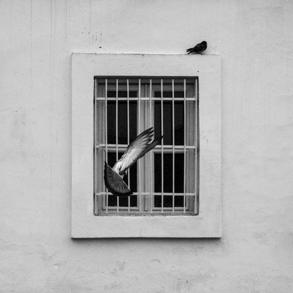 Photograph by Amirhossein Yousefi Keysari