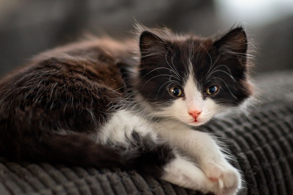 Photograph by Dace Spalviņa