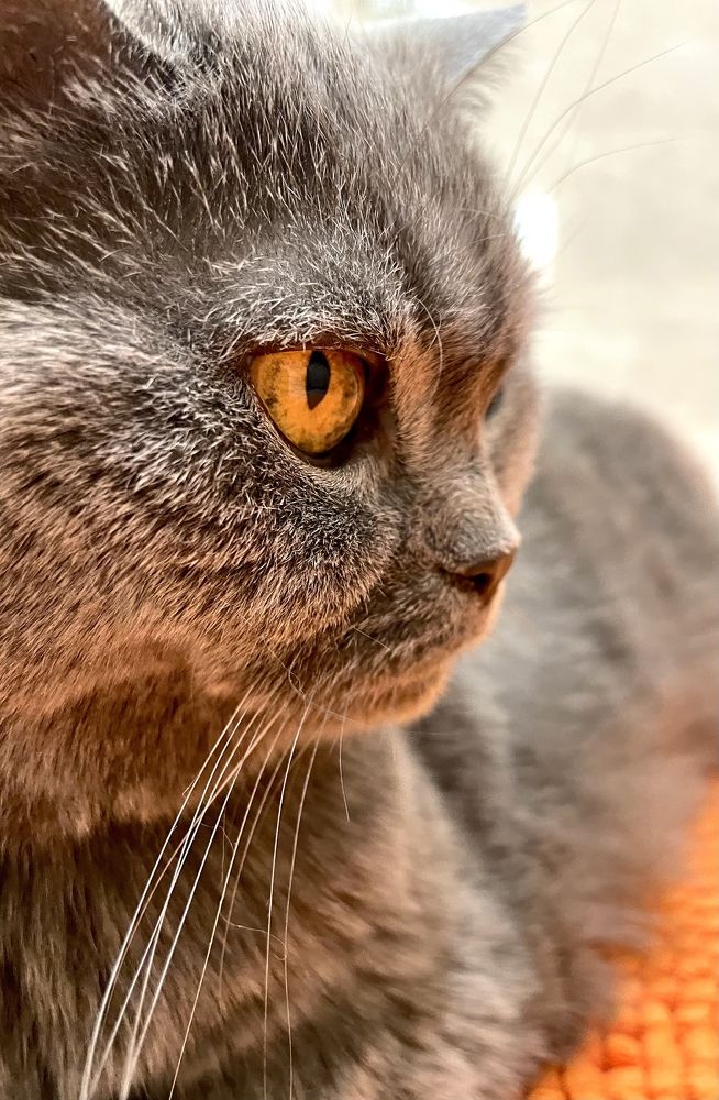 Фотография автора Рамзия Хисамутдинова