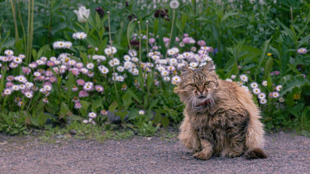 Photograph by Антон Дроздов