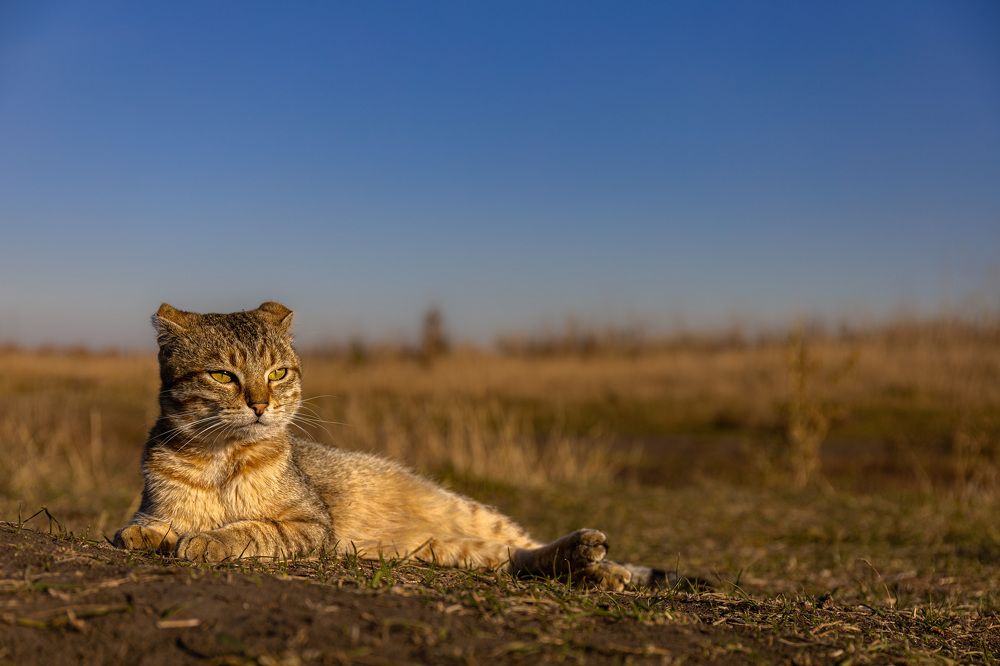 Photograph by Антон Дроздов