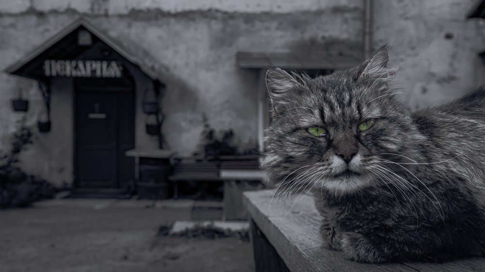 Photograph by Антон Дроздов