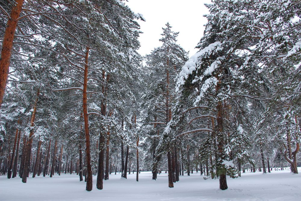 Photograph by Ирина Рудниченко