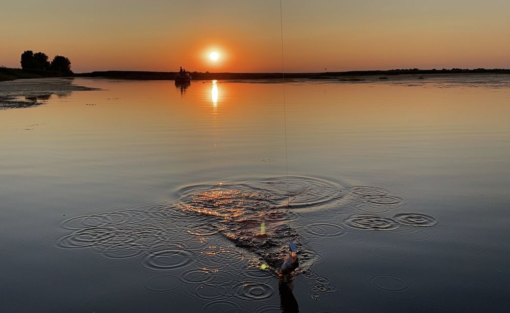 Photograph by Оксана
