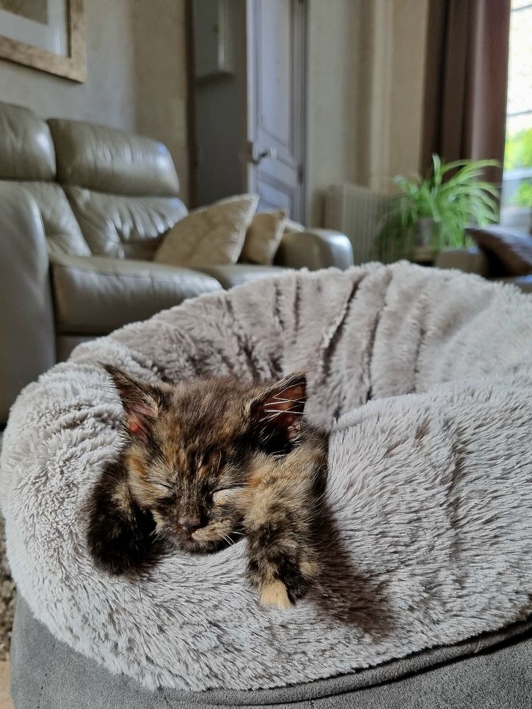 Photograph by Hanna Bourne