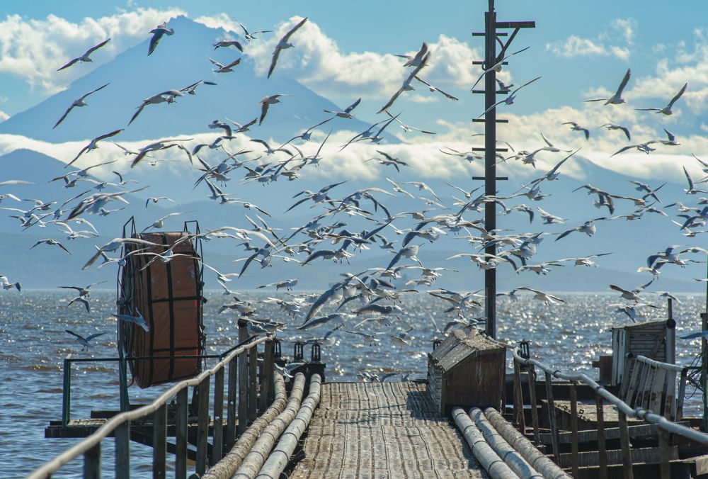 Photograph by Евгений Владимиров