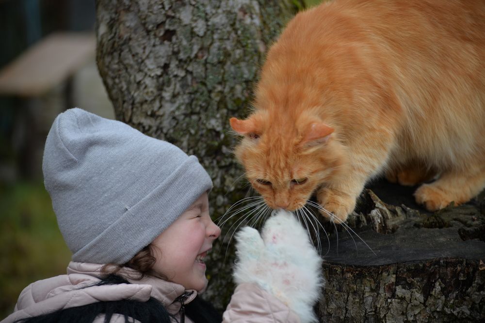 Фотография автора Ольга Круковская