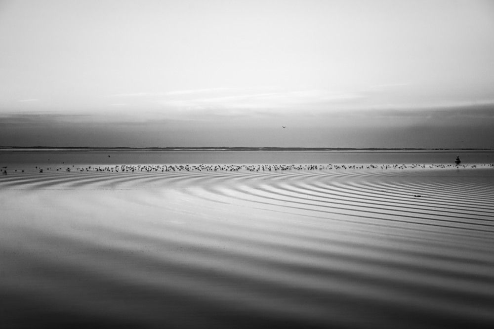 Photograph by Татьяна Савраева